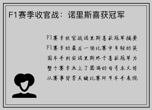 F1赛季收官战：诺里斯喜获冠军